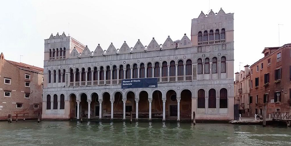 20210801112447Fondaco-dei-Turchi-Museo-di-storia-naturale-Venezia-07-2014.jpg
