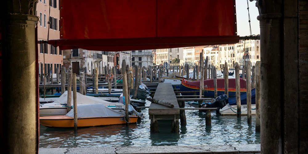 20250312094905-cose-da-fare-a-venezia-mercato-di-rialto.jpg