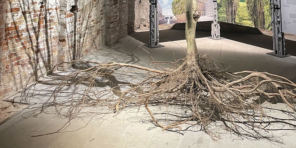 20250610191423-useful-tips-for-venice-biennale.jpg 20250610191423-useful-tips-for-venice-biennale.jpg